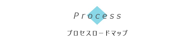 process icon プロセスロードマップ